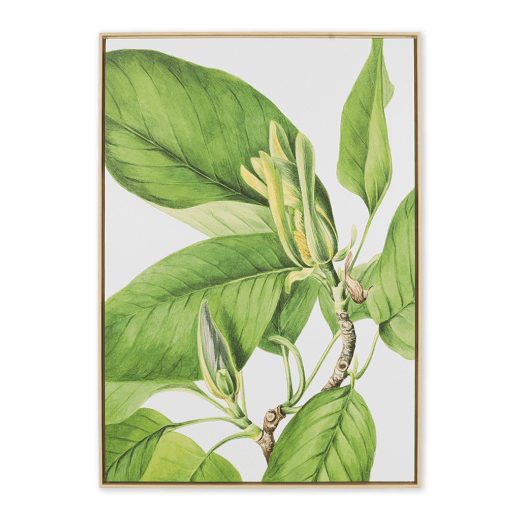 Vintage Botany Painting Leather Gallery