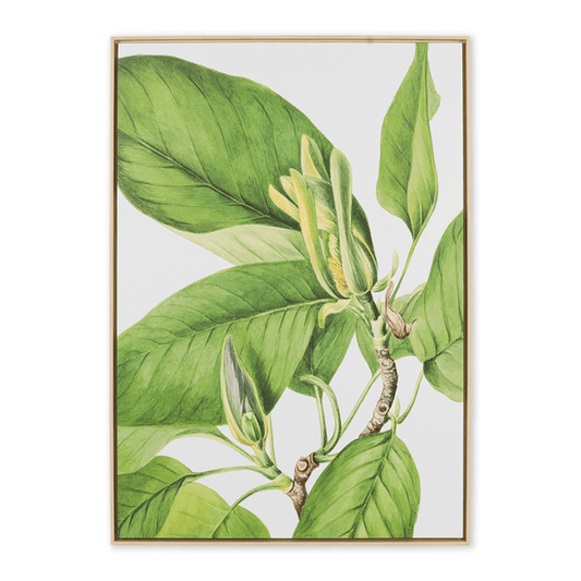 Vintage Botany Painting Leather Gallery