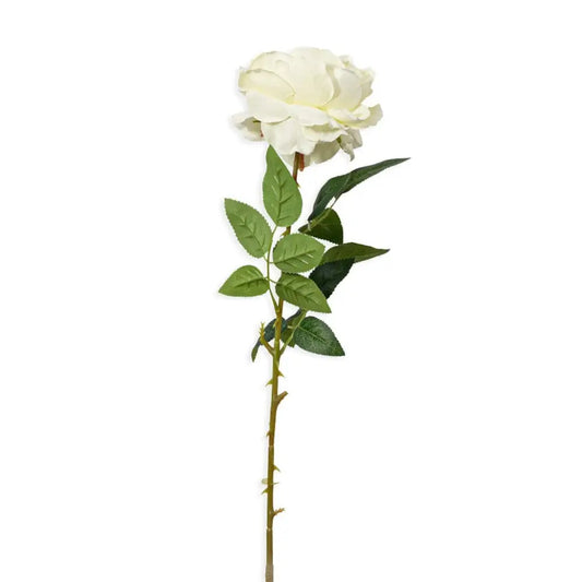 White Chinese Peony - Decor