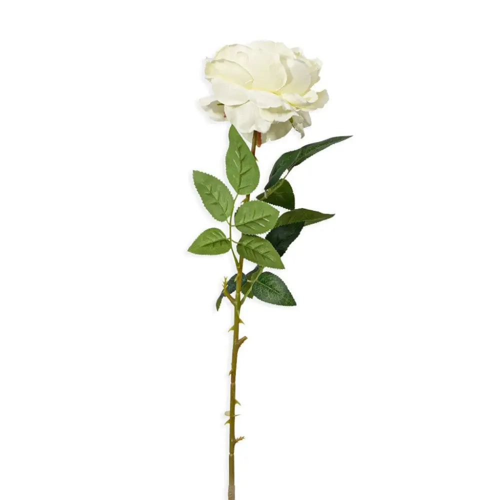 White Chinese Peony - Decor