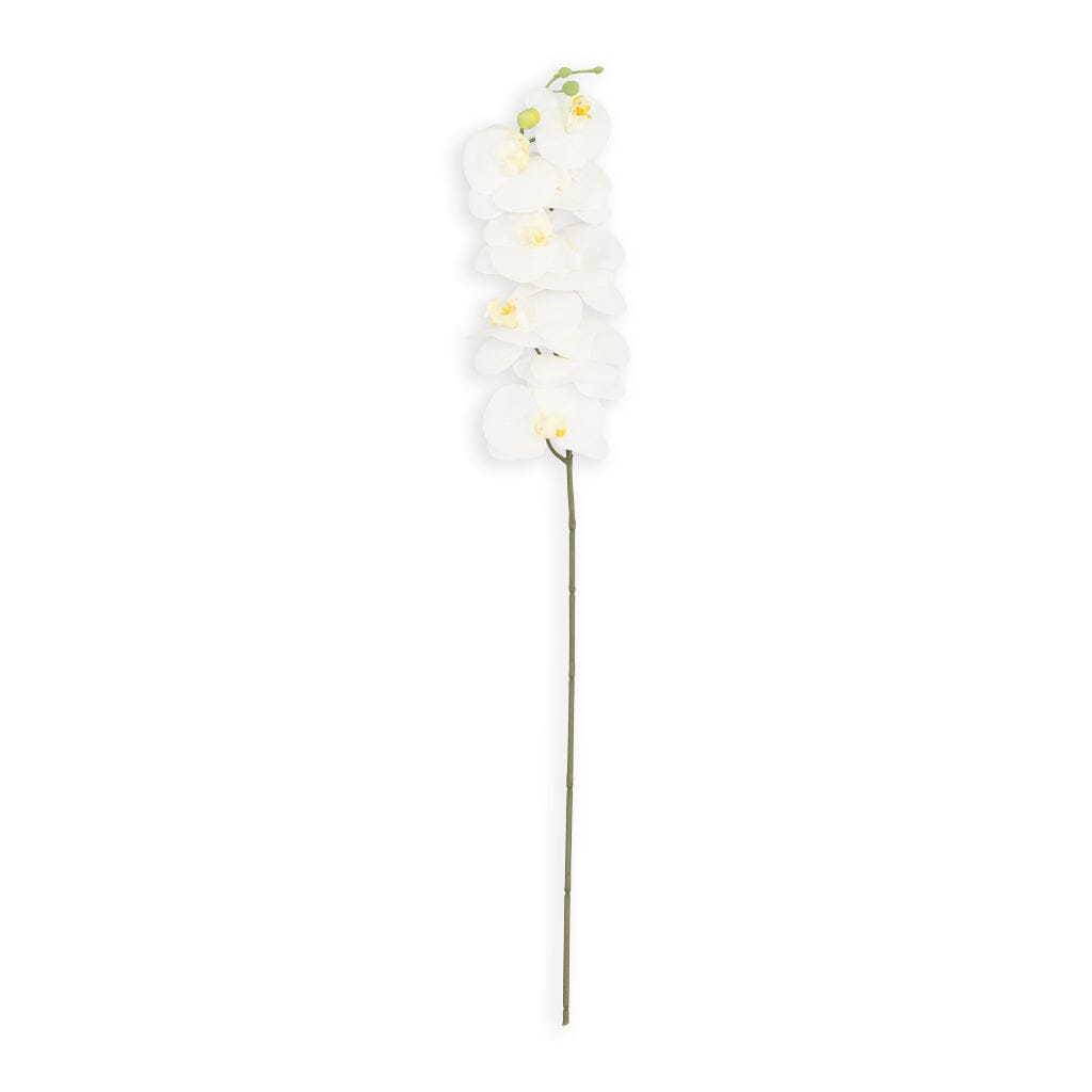 White Orchid - Flower Decor Leather Gallery