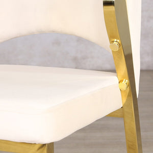 Cleopatra Dining Chair - Stainless Steel Gold Dining Chair Leather Gallery 
