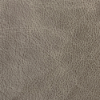 Bedlam Taupe