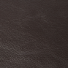 Luxe Walnut